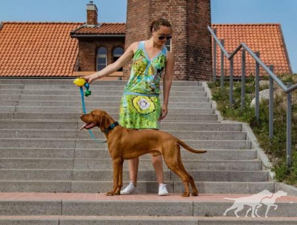 Hatvan Vizsla Magyar Tim