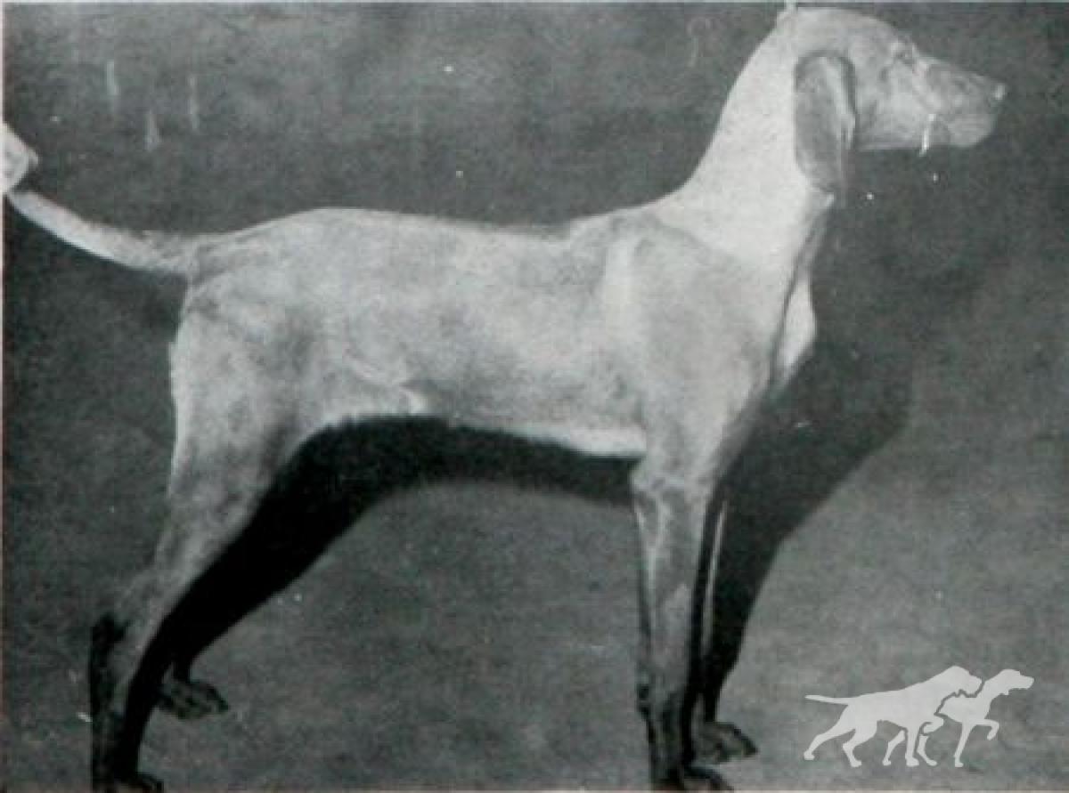 Kinford Nora