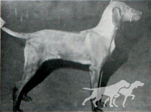 Kinford Nora