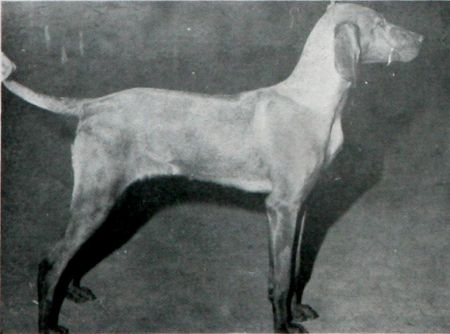 Kinford Nora