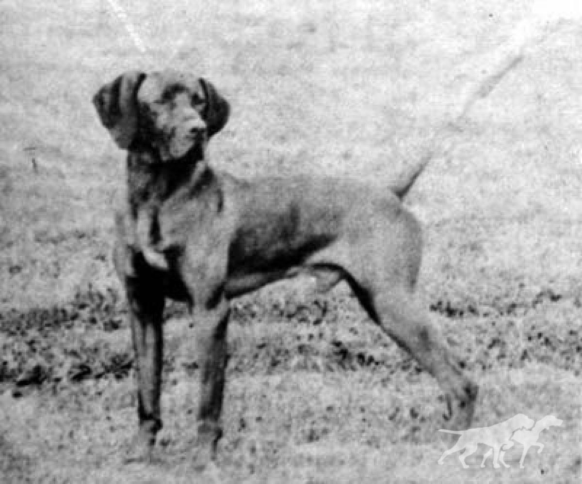 Kingsbury Colin