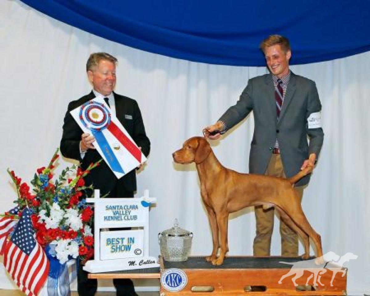 Golden Empire's Double Action Remington