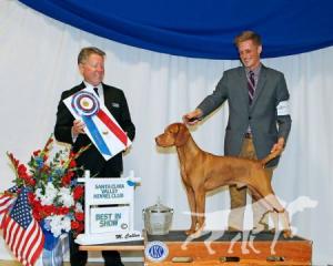 Golden Empire's Double Action Remington