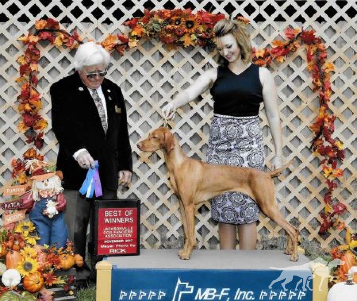Zydeco's Babalunalucy De La Roux For Edisonia