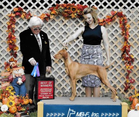 Zydeco's Babalunalucy De La Roux For Edisonia
