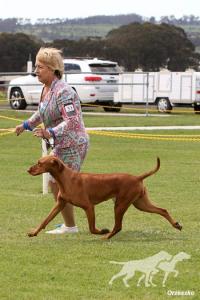 Heiderst Orange Isth New Black (AI)