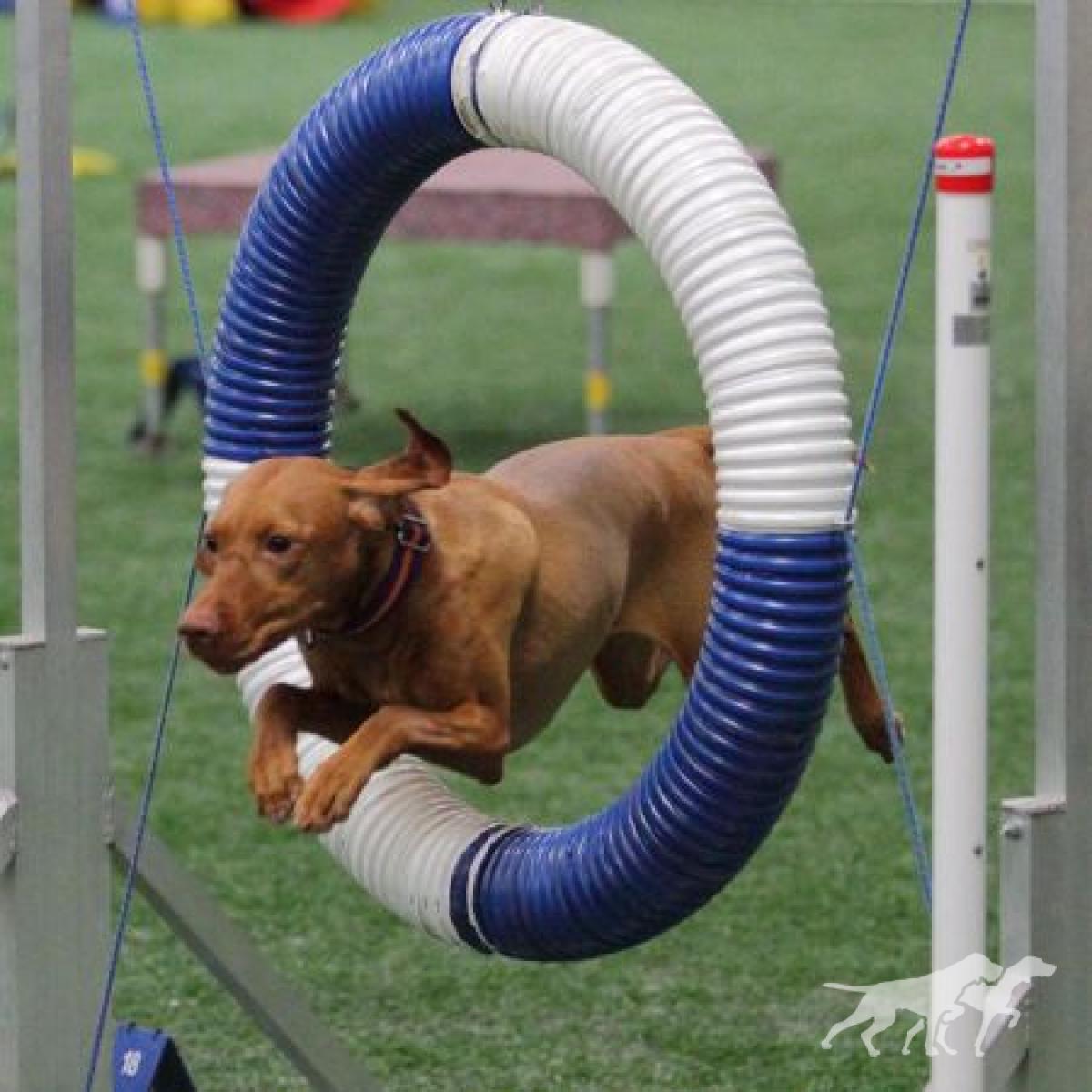 Huntmore Lucky 7 My Cazadora