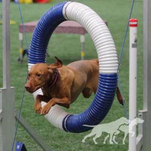Huntmore Lucky 7 My Cazadora