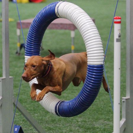 Huntmore Lucky 7 My Cazadora