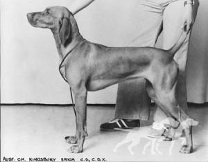 Kingsbury Erica
