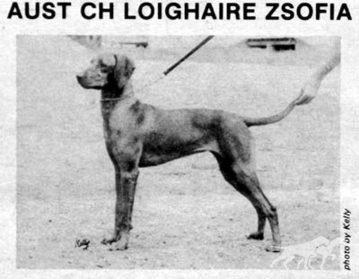 Loighaire Zsofia