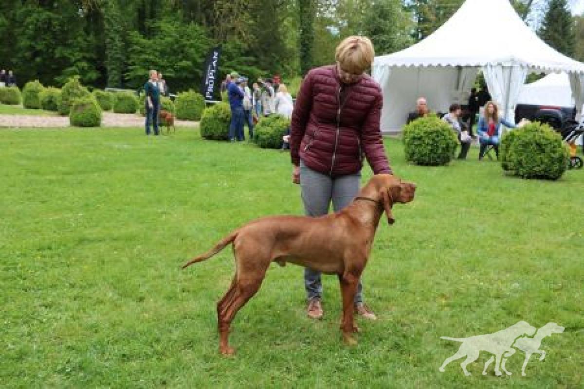 Lutcho du Champ Cleuet