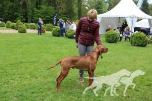 Lutcho du Champ Cleuet