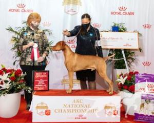 Red Diamond Player's Club Lucky No. 7
