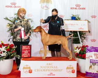 Red Diamond Player's Club Lucky No. 7