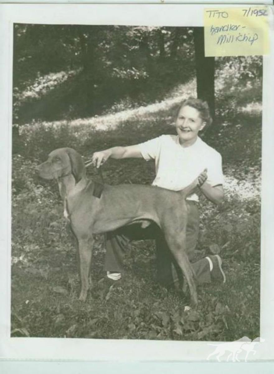 Tito