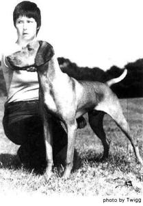 Hanafor Vitez Tobias