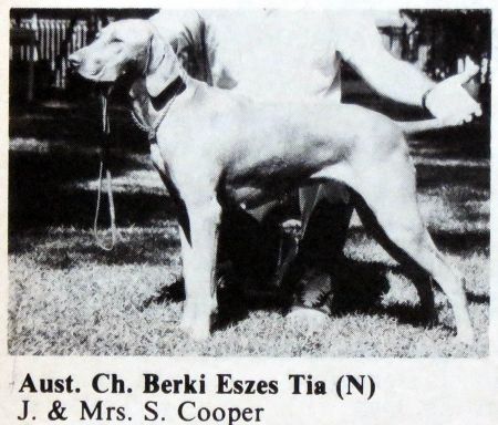 Berki Eszes Tia