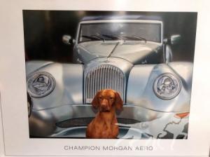 Classical Classic Morgan Aero