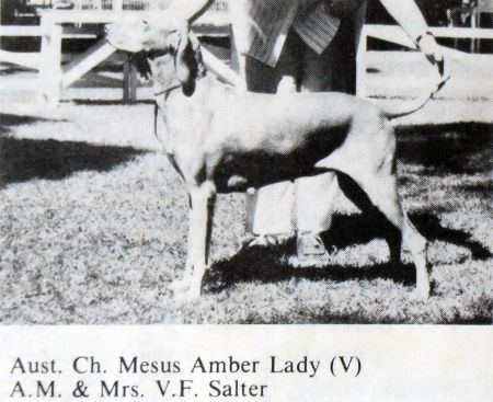 Mesus Amber Lady