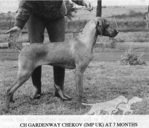 Gardenway Chekov