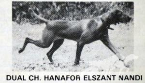Hanafor Elszant Nandi