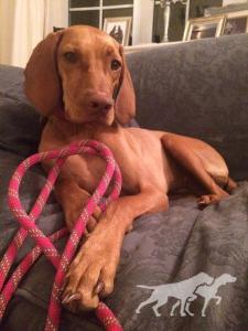 Lola Lady