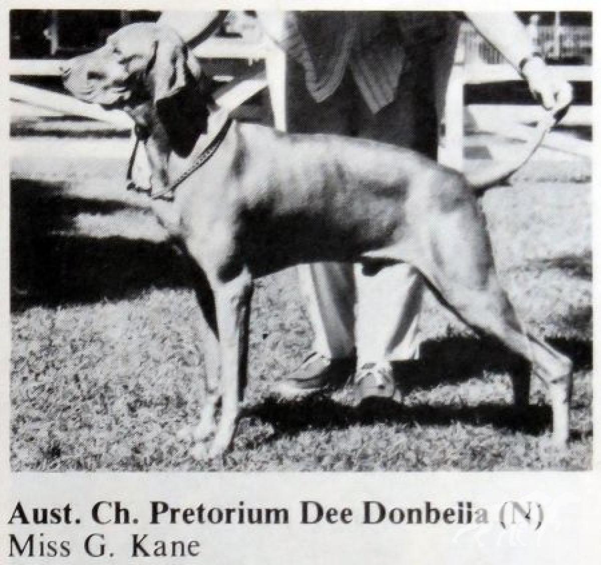 Pretorium Dee Donbella