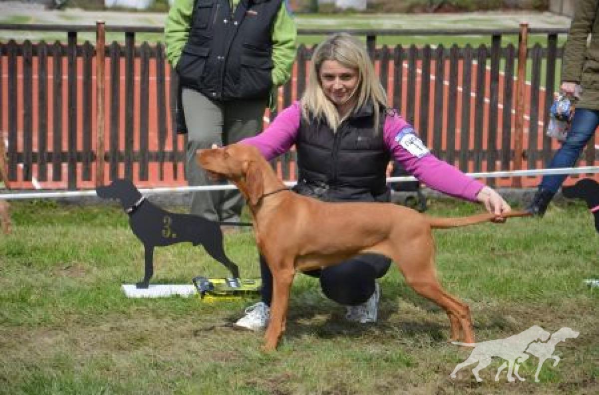 Eyre Jane Boglarca