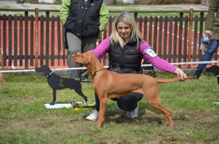 Eyre Jane Boglarca