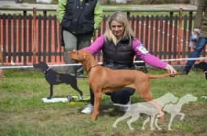 Eyre Jane Boglarca