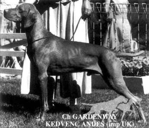 Gardenway Kedvenc Andes
