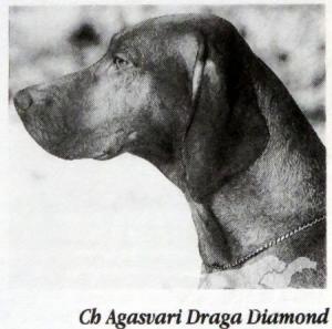Agasvari Draga Diamond