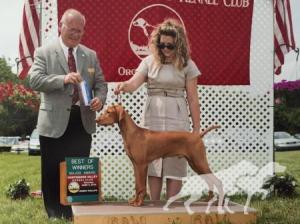 Rhapsody's Oxford Comma