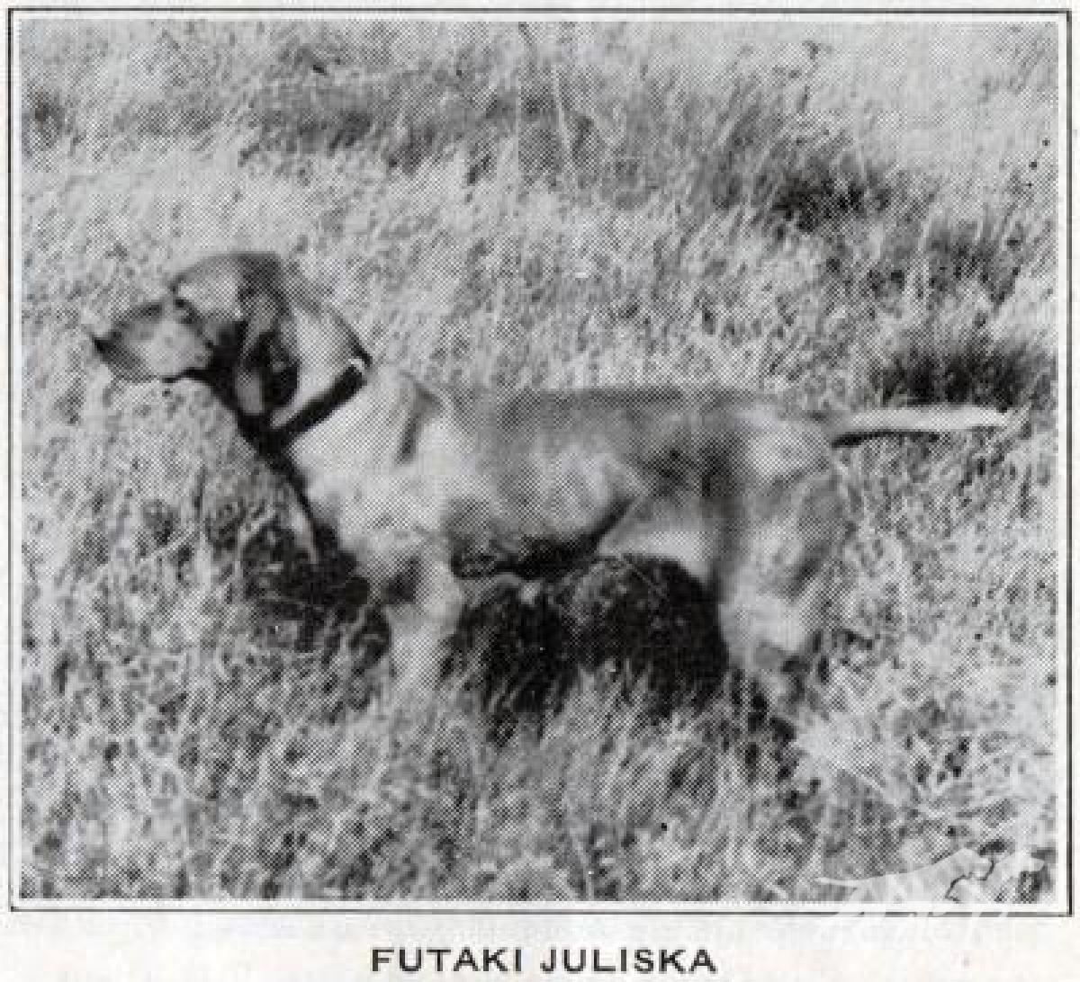 Futaki Juliska