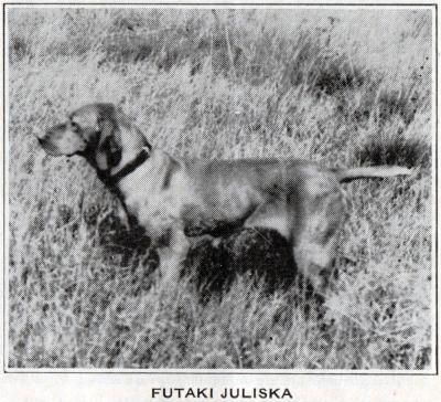 Futaki Juliska