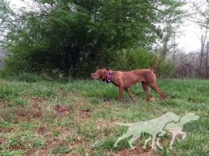 Barben's Riding The Daisy Train