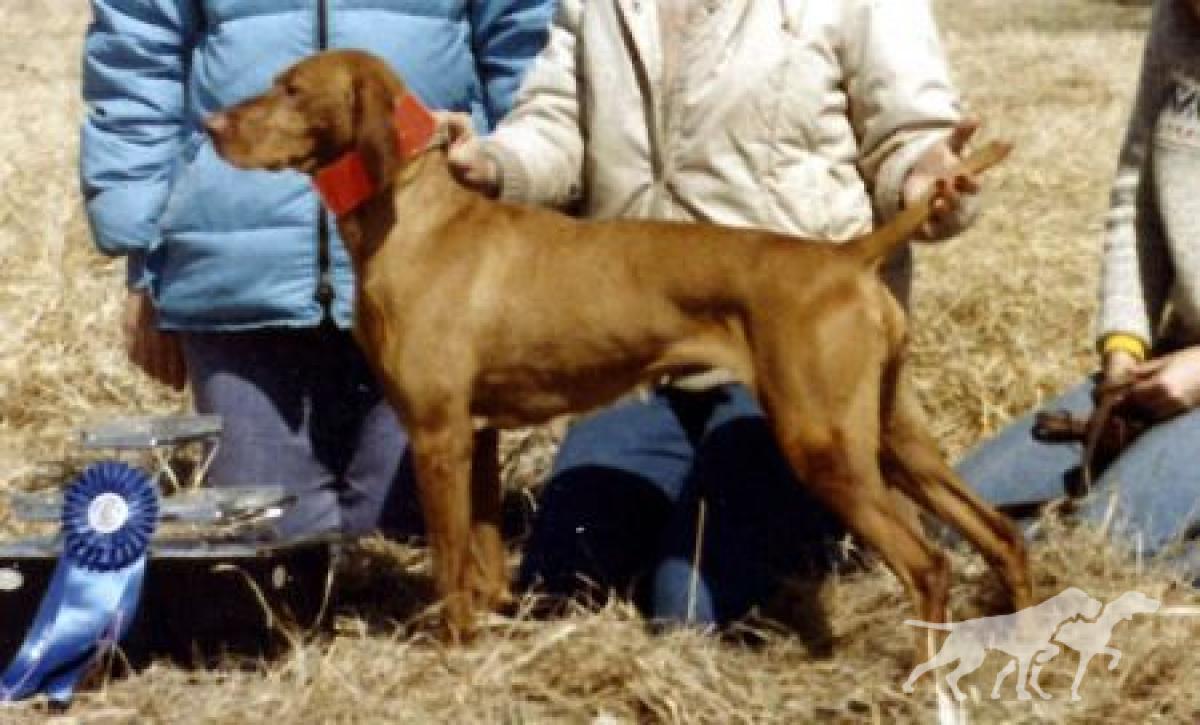Behi's Jeri Redef