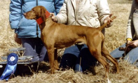 Behi's Jeri Redef