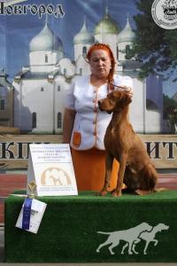 Ambravittoriya Ambitsiya