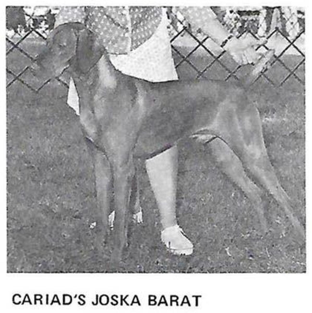 Cariad's Joska Barat