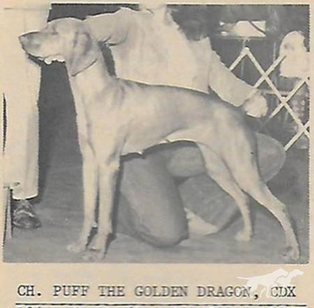 Puff The Golden Dragon