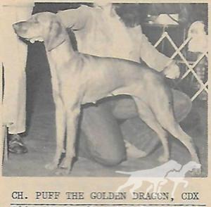 Puff The Golden Dragon