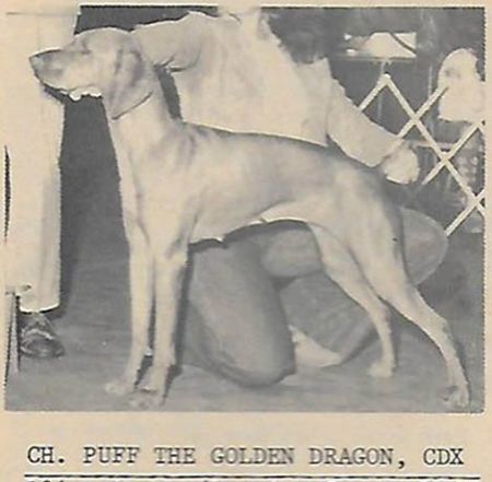 Puff The Golden Dragon