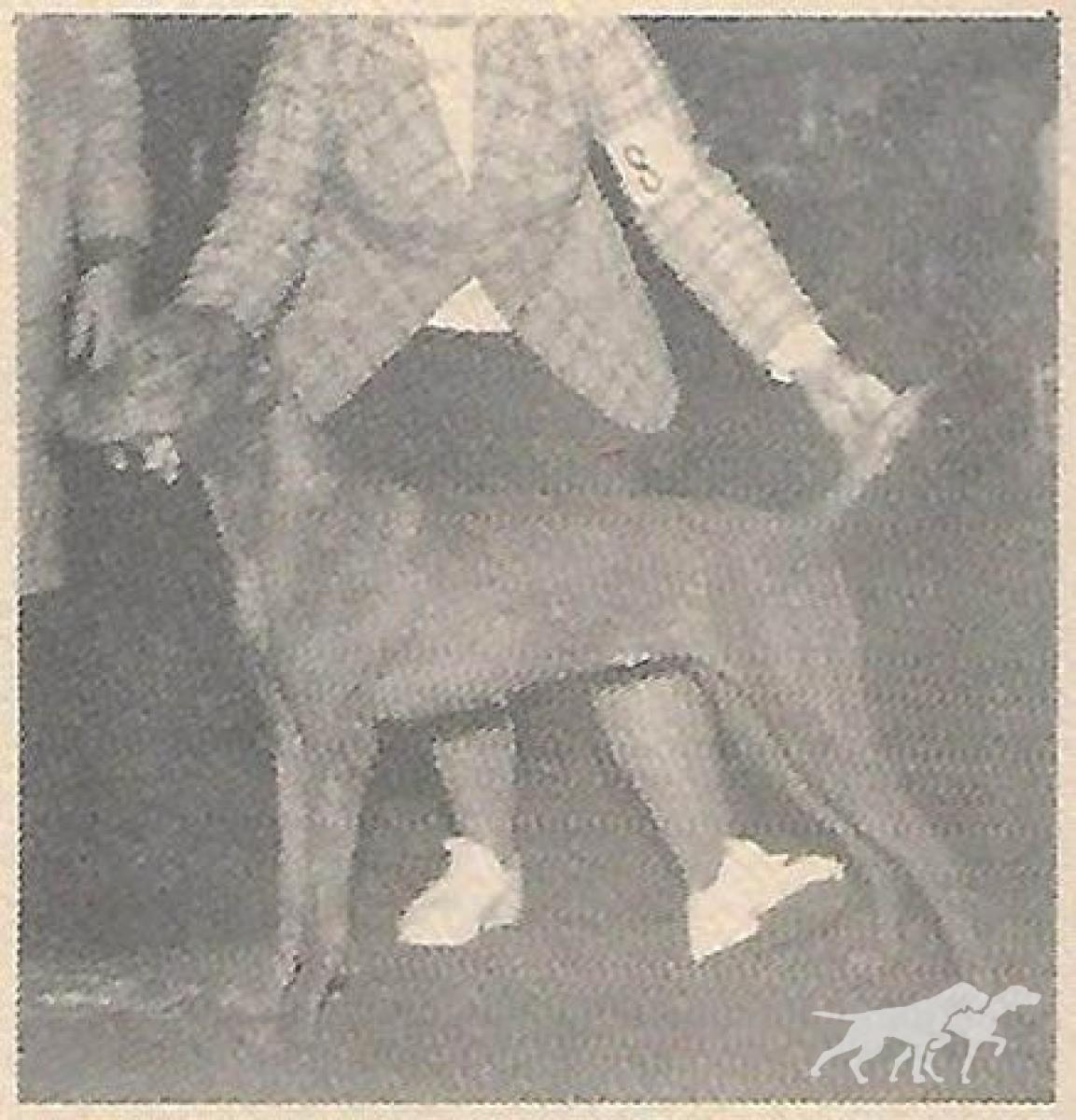 Cariad's Eszaki Pulya