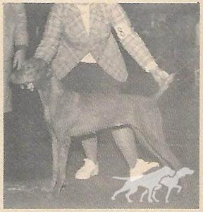 Cariad's Eszaki Pulya