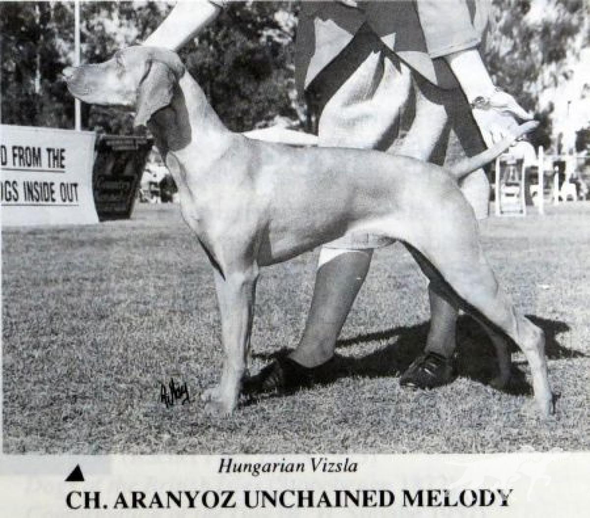 Aranyoz Unchained Melody