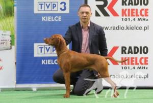 Nerve Magyar Tim