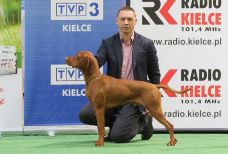 Nerve Magyar Tim