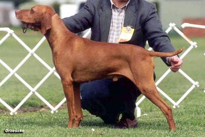 Hanafor Master Gyles